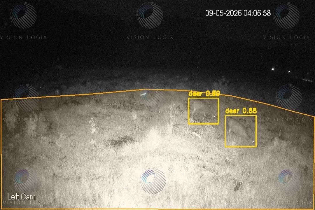 Infrared night camera image showing two deer, each inside a yellow detection box, labelled 0.89 and 0.88.