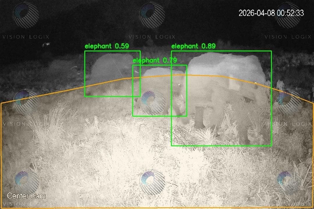 Infrared night camera image showing three elephants each inside a green detection box labelled elephant, with confidences of 0.59, 0.79 and 0.89.
