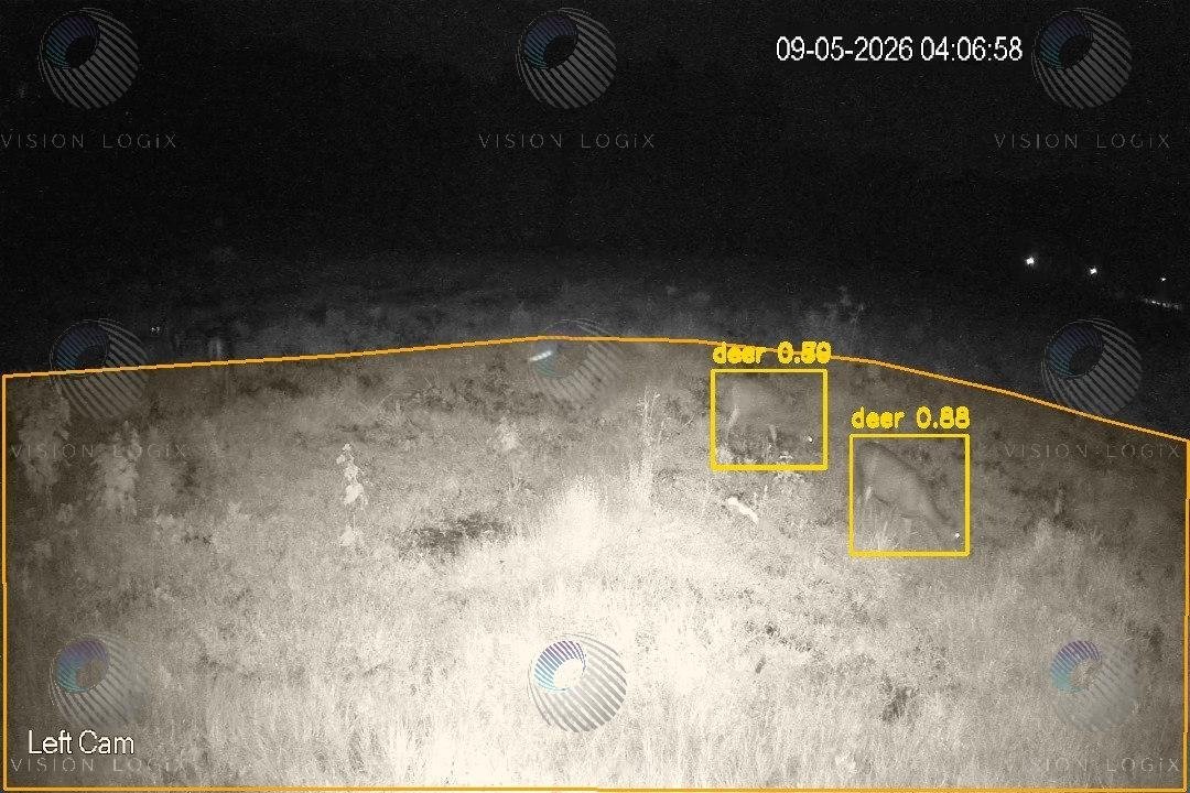 Deerkha Drishti detecting deer at a forest boundary at night