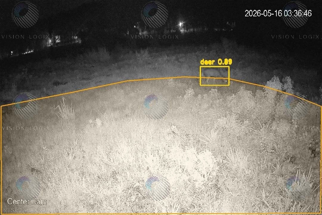 Deer — Lone Approach — Center Cam · IR Night Vision