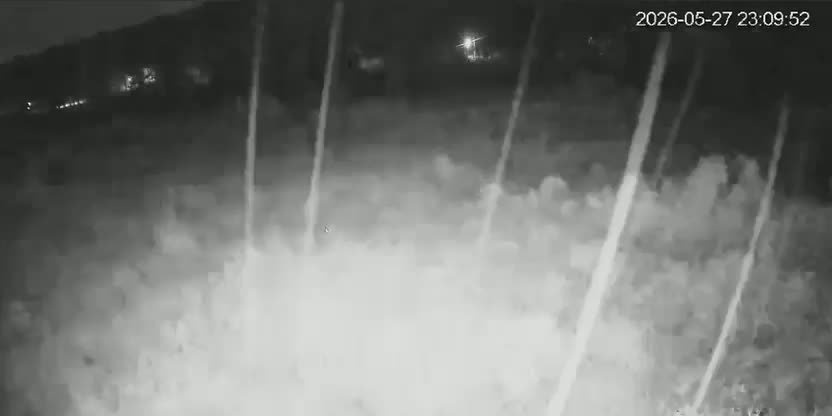 Infrared night footage of deterrent lights strobing across a farm perimeter.