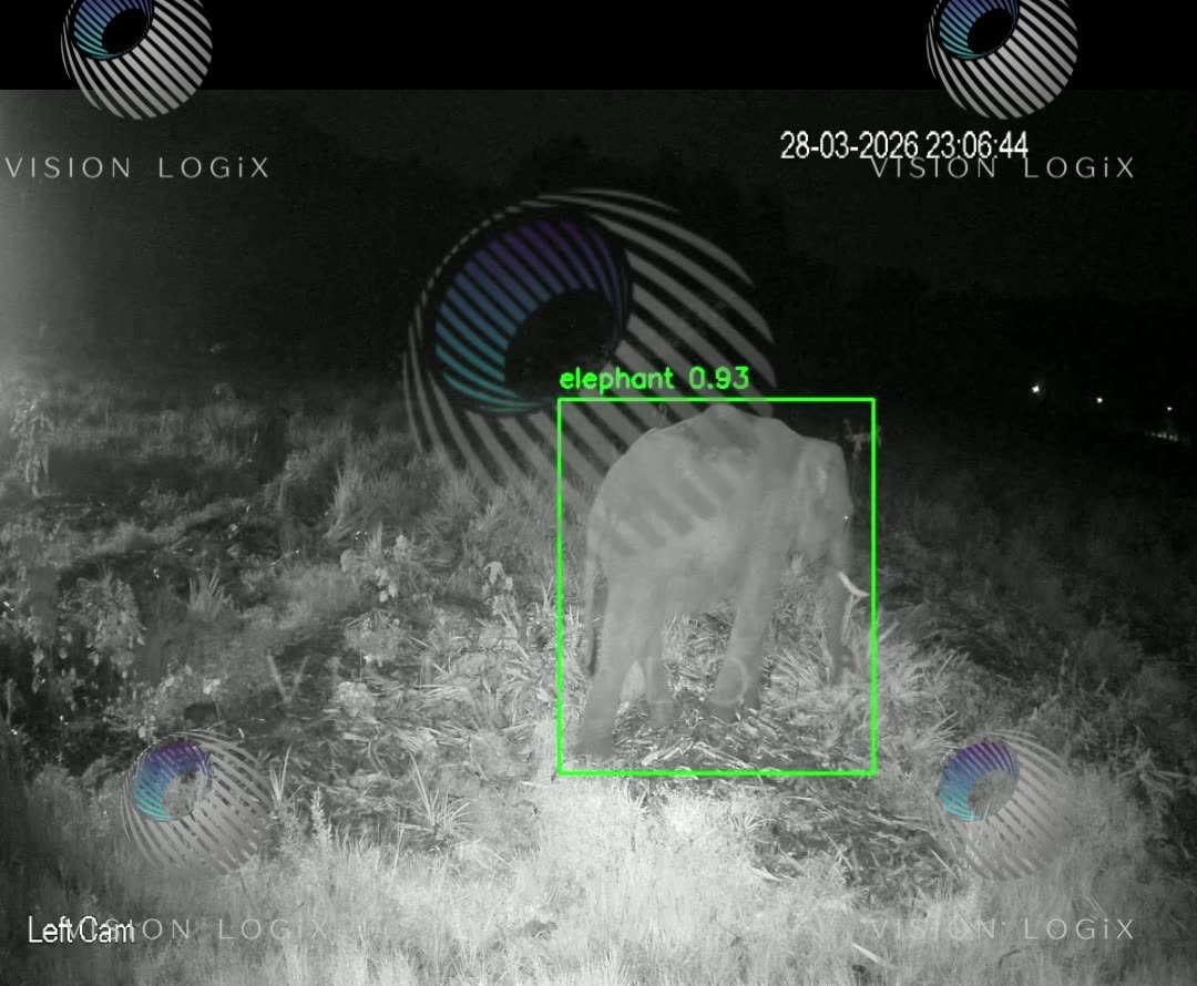 Infrared night camera footage of an elephant inside a green detection box labelled elephant 0.94, recorded at 23:06.